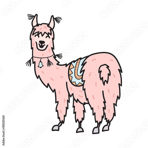 Hand drawn Peru animal, alpaca, vicuna. 