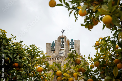 Views of bells through the mandarin tree photo