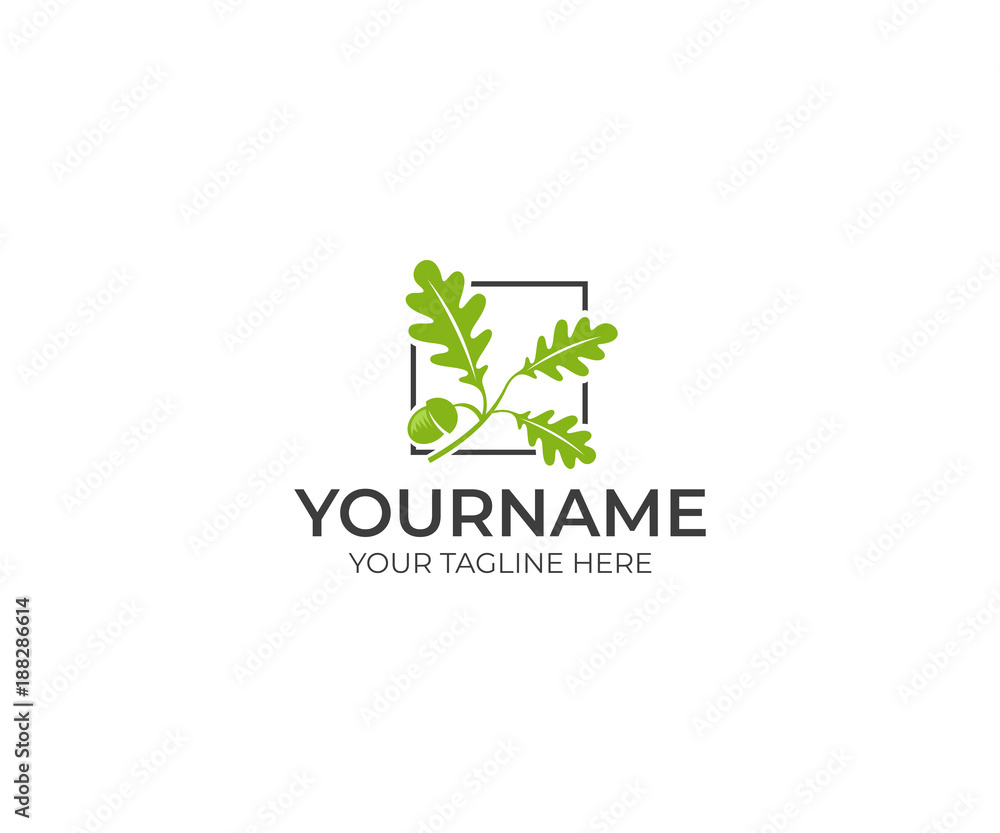 Leaves oak and acorn logo template. Oak tree vector design. Nature illustration Leaves oak and acorn logo template. Oak tree vector design. Nature illustration