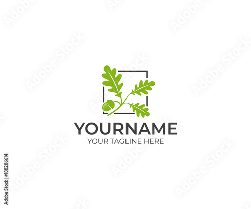 Leaves oak and acorn logo template. Oak tree vector design. Nature illustration