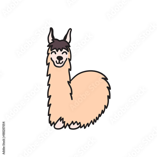 Hand drawn Peru animal, alpaca, vicuna. 
