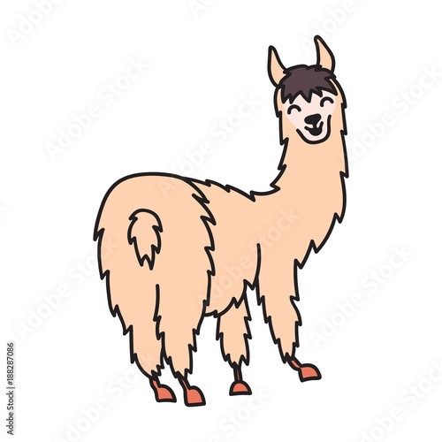 Hand drawn Peru animal, alpaca, vicuna. 