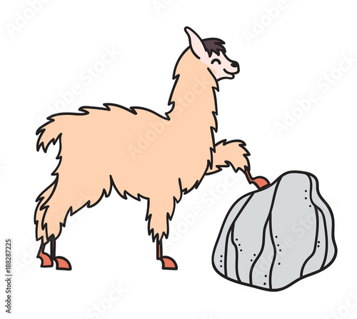 Hand drawn Peru animal, alpaca, vicuna. 