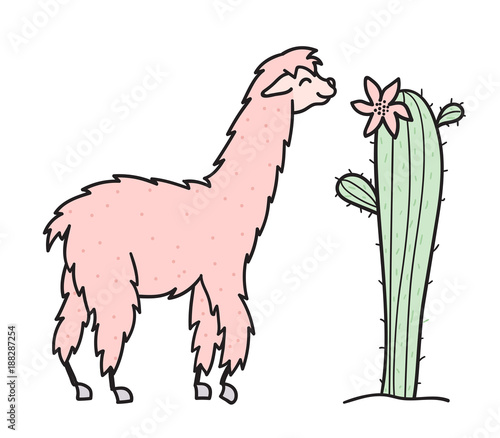 Hand drawn Peru animal, alpaca, vicuna. 