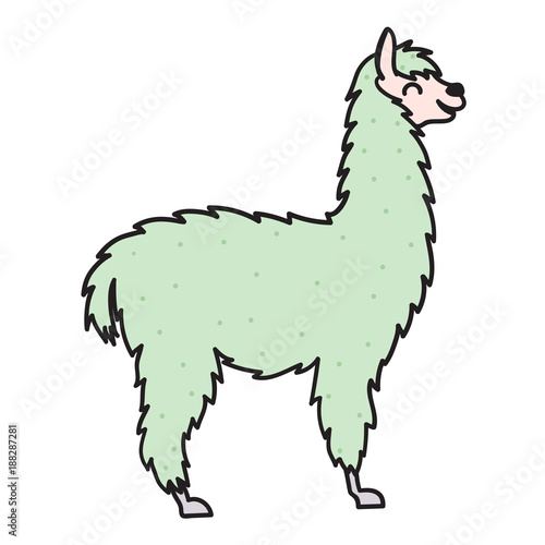 Hand drawn Peru animal, alpaca, vicuna. 