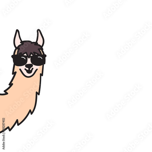 Hand drawn Peru animal, alpaca, vicuna. 