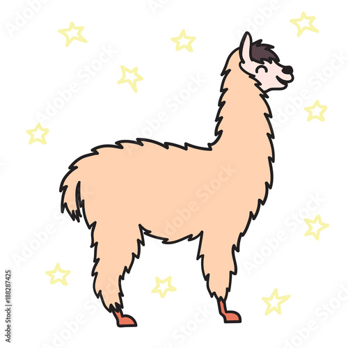 Hand drawn Peru animal, alpaca, vicuna. 
