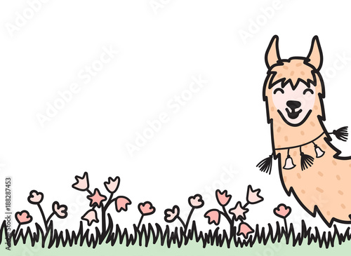 Hand drawn Peru animal, alpaca, vicuna. 