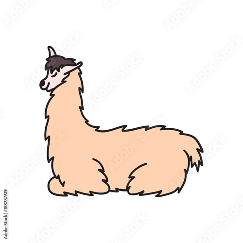 Hand drawn Peru animal, alpaca, vicuna. 
