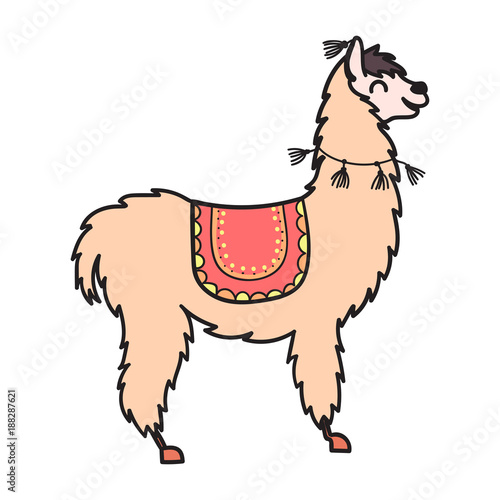 Hand drawn Peru animal, alpaca, vicuna. 