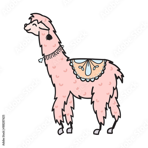 Hand drawn Peru animal, alpaca, vicuna. 