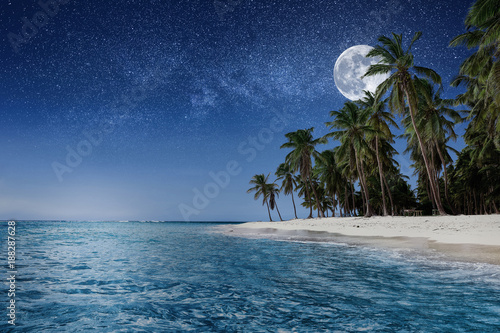 Paradise beach at night. Tropical paradise  white sand  beach  palm trees and clear water