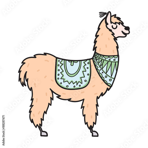 Hand drawn Peru animal, alpaca, vicuna. 