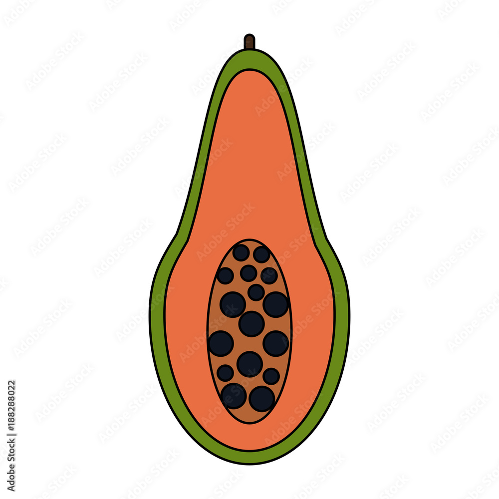 Papaya half cut icon vector illustration graphic design Papaya half cut icon vector illustration graphic design