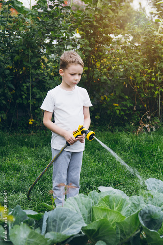 Little boy watering the garden with a hose.