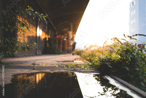 abandoned factorybuilding with plants and water in the sunset. photo