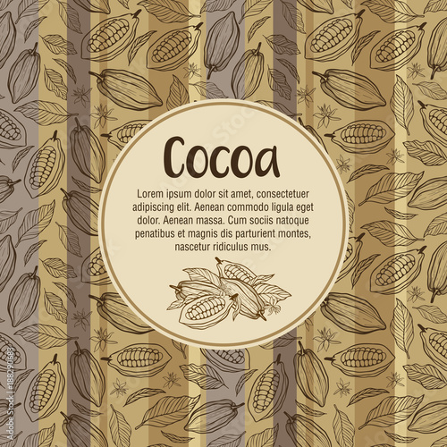 Cocoa beans illustration. Chocolate cocoa beans.