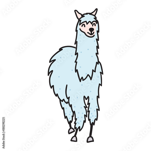 Hand drawn Peru animal, alpaca, vicuna. 