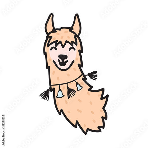 Hand drawn Peru animal, alpaca, vicuna. 