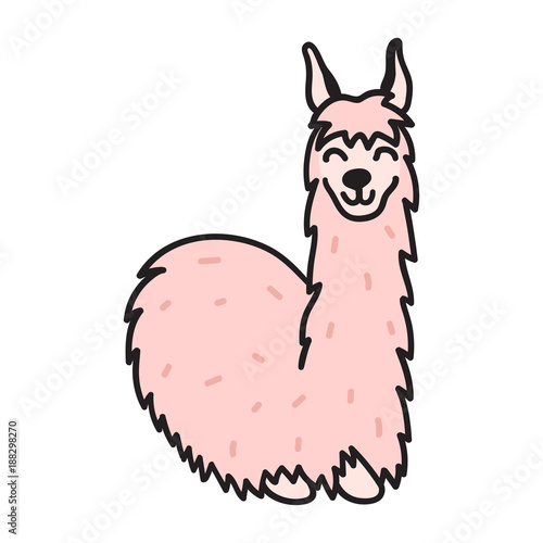 Hand drawn Peru animal, alpaca, vicuna. 