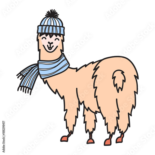 Hand drawn Peru animal, alpaca, vicuna. 