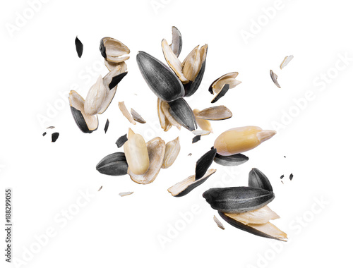 Peeled sunflower seeds are frozen in the air on white background photo