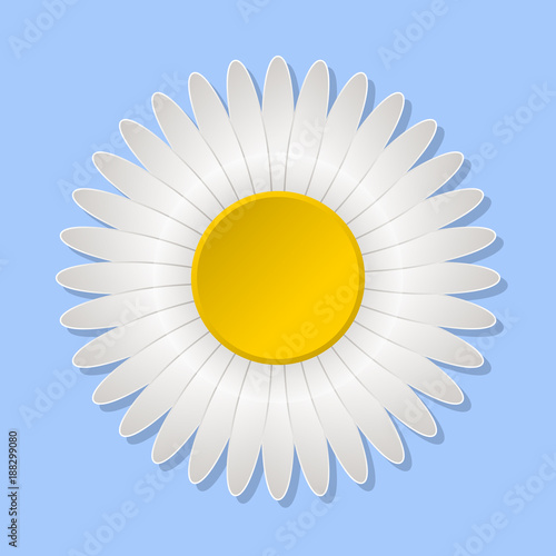 Daisy chamomile flower. Floral summer or spring icon on blue background. Vector illustration