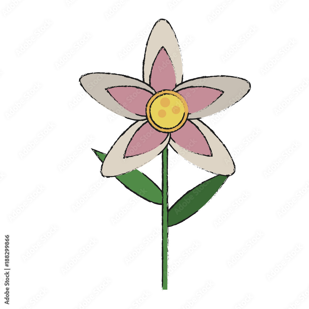 Beautiful flower isolated icon vector illustration graphic design Beautiful flower isolated icon vector illustration graphic design