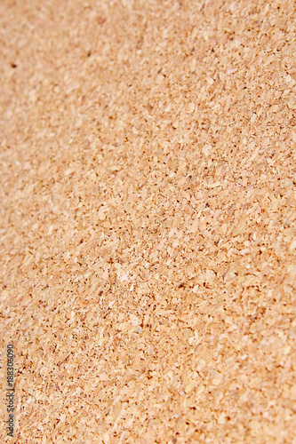 Corkwood texture pattern background. Cork wood. Wooden texture closeup.