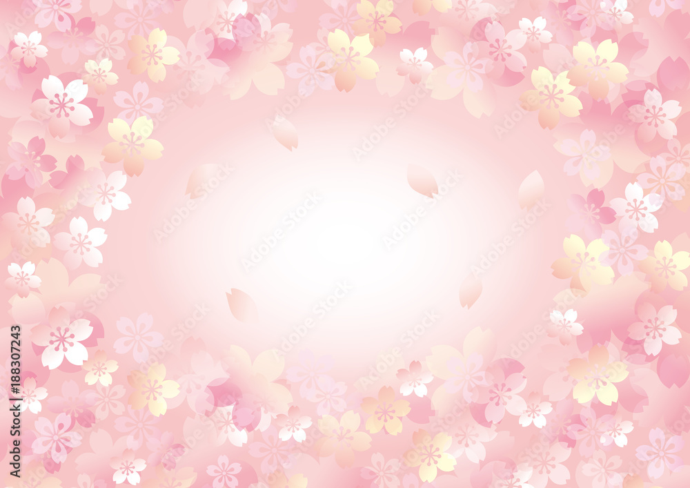 優しい桜 桜