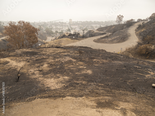 Destruction in Field from Recent Wildfire in Park