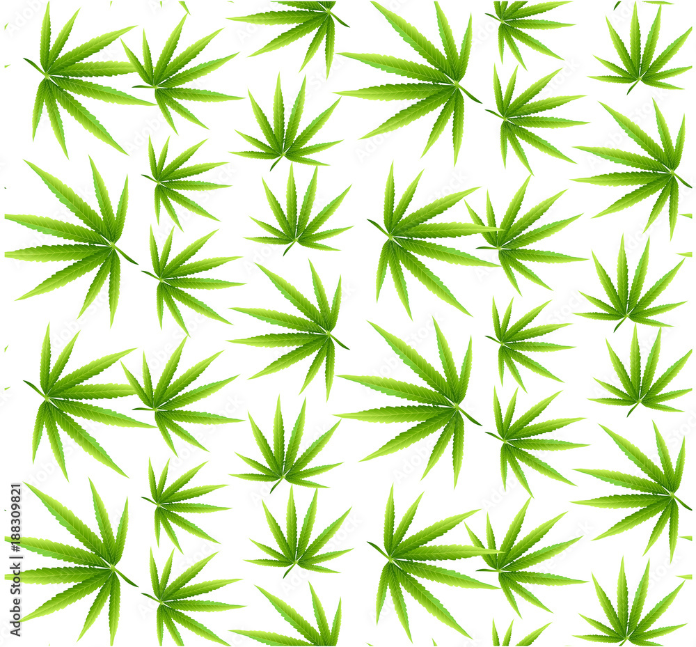 Marijuana leaves seamless vector pattern. Marijuana leaves seamless vector pattern.