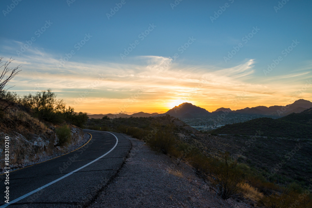 Beautiful sunset over Tucson Arizona USA mountains saguaro cactus landscape desert nature