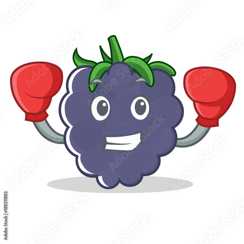 Boxing blackberry character cartoon style