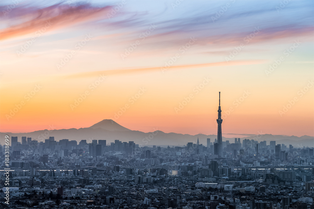 Tokyo city view with mt.Fuji in evening