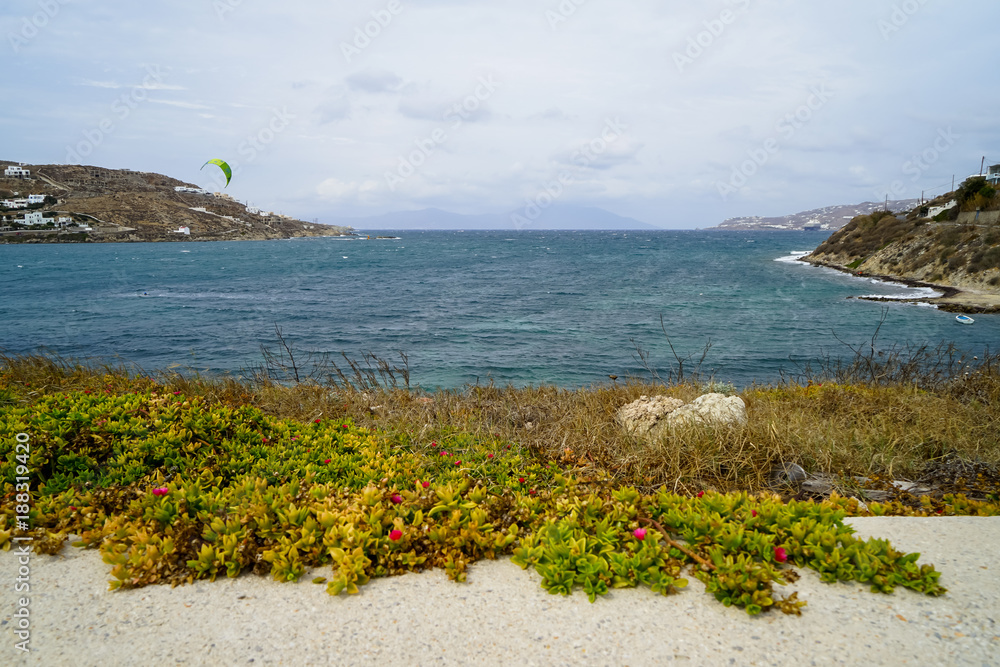 Kitesurfing, extreme water sports in strong wind at Korfos bay beach on blue sea and sky background with ground cover plant and pink flower foreground