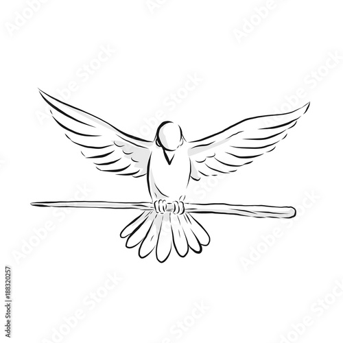 Soaring Dove Clutching Staff Front Drawing