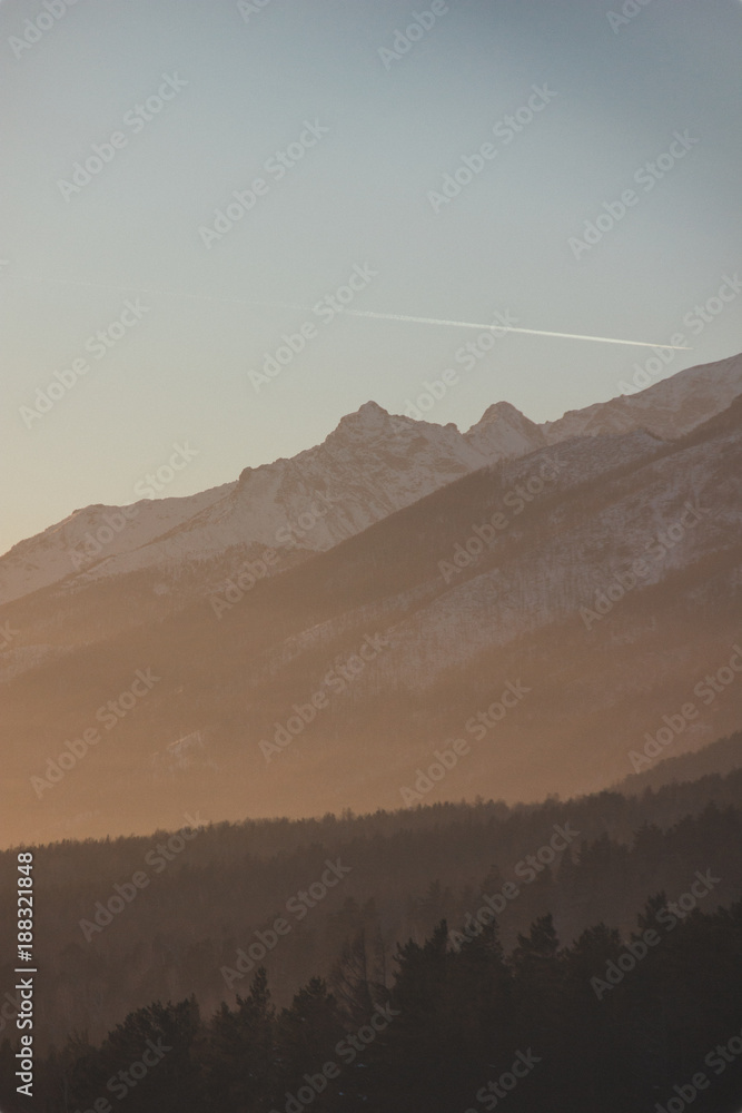 Naklejka premium mountains and forest at dawn