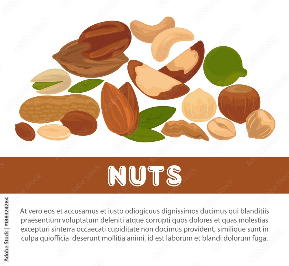 Nuts organic nutrition and raw diet information poster design template.