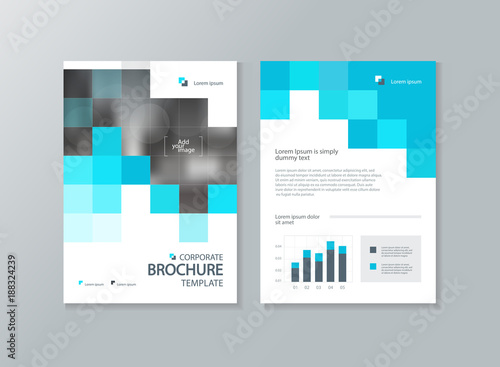 business brochure, flyer ,report layout  template, with abstract cover design background