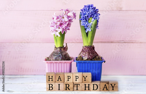 Pink  Hyacinth Flower with  Happy Birthday Text on Wooden Cubes