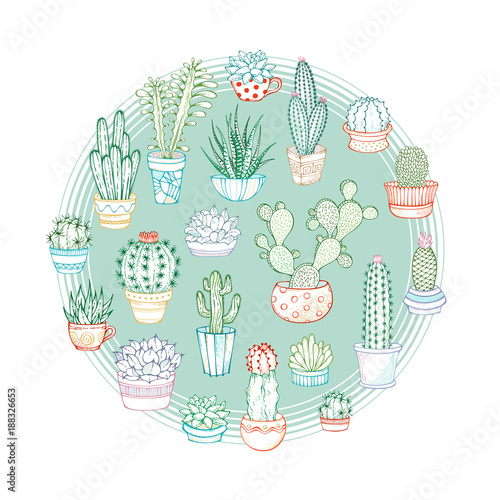 Cacti and succulents round vector linear illustration.