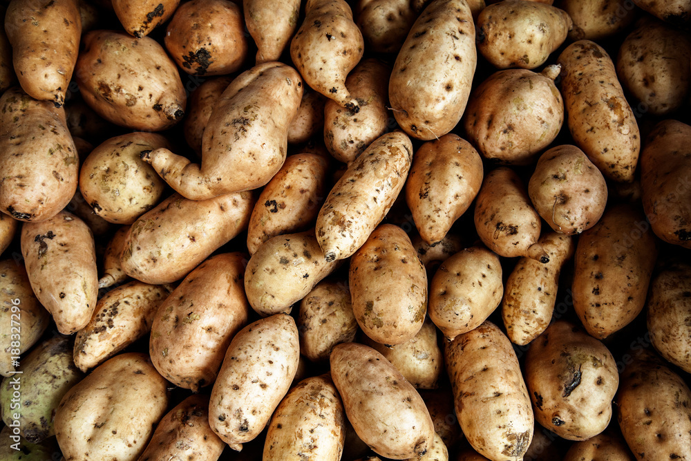 Fresh organic young potatoes sold on open market in Indonesia Fresh organic young potatoes sold on open market in Indonesia