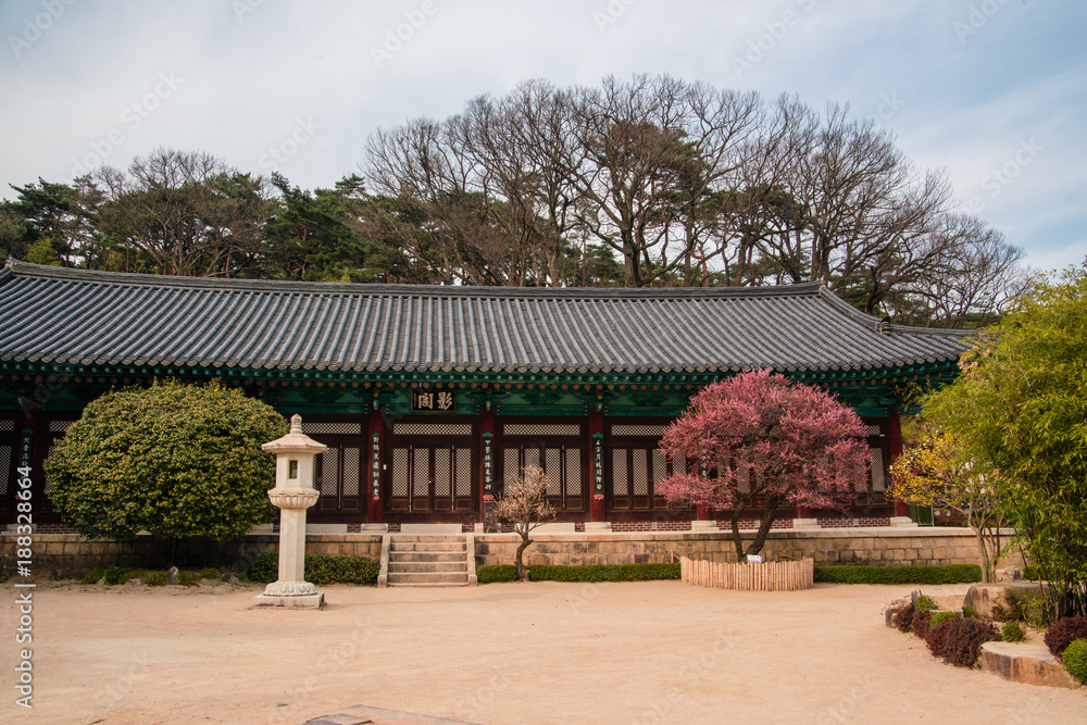 Tongdosa Temple with red plum blossoms