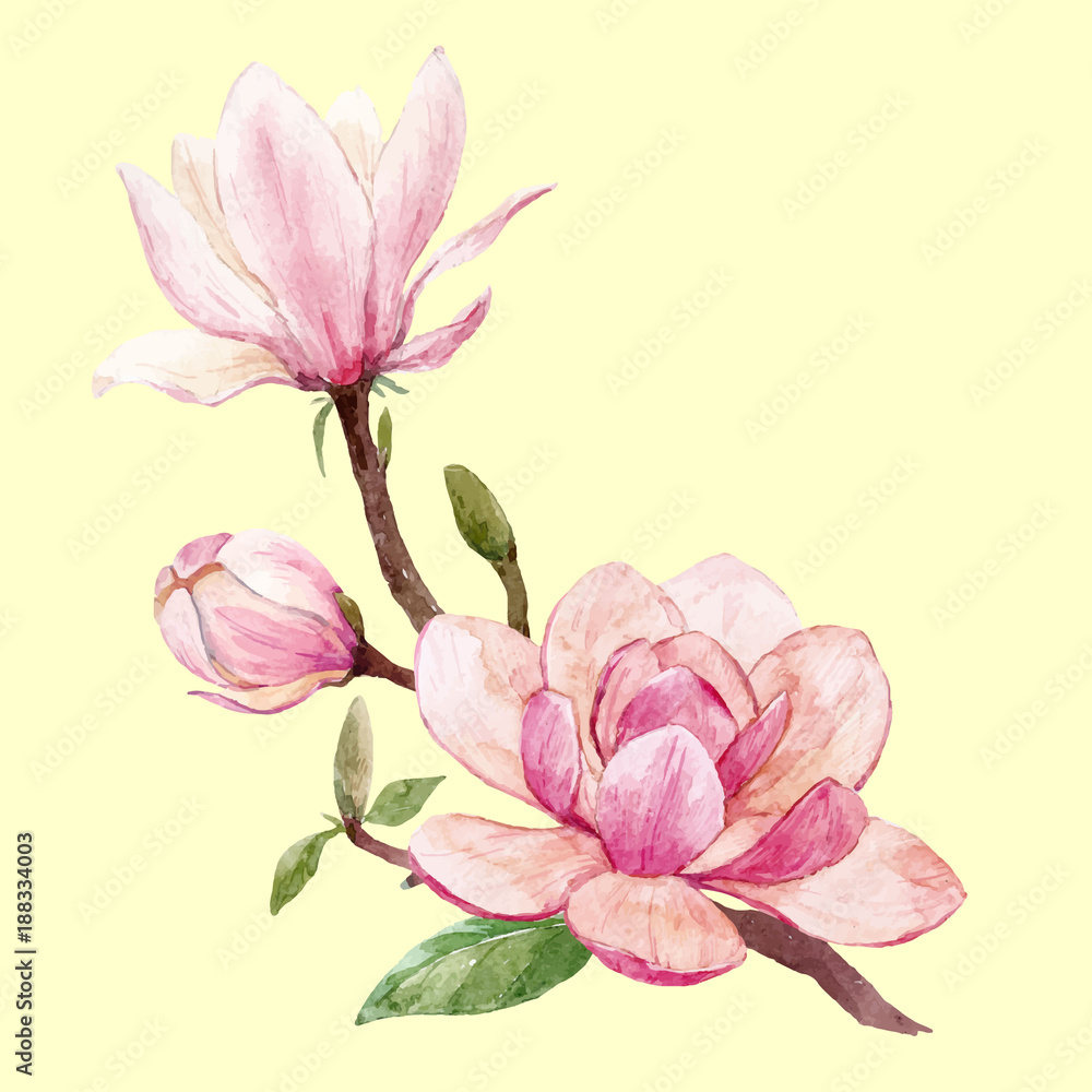Fototapeta premium Watercolor magnolia floral vector composition