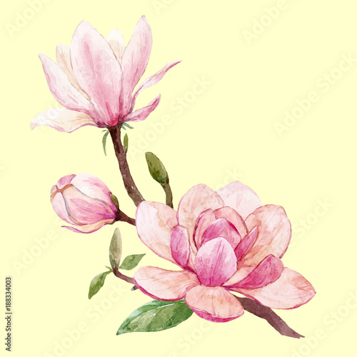 Watercolor magnolia floral vector composition