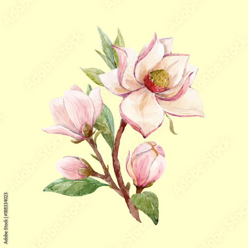 Watercolor magnolia floral vector composition