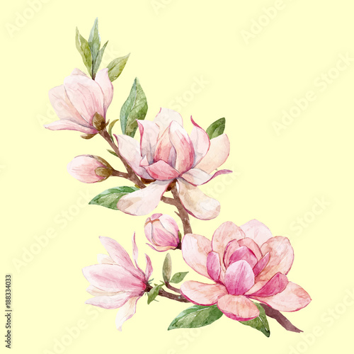 Watercolor magnolia floral vector composition © zenina