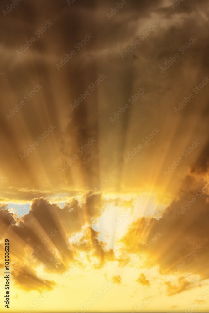 Fototapeta premium Bright rays of the sun