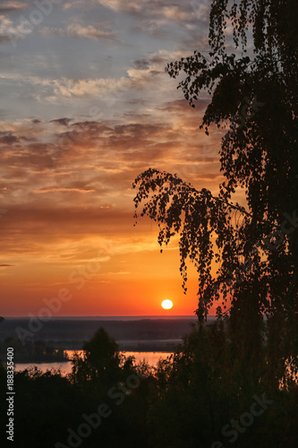 In the evening  see the red sun beside the shade of trees.